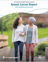 Download a PDF of the 2020 Breast Cancer Report
