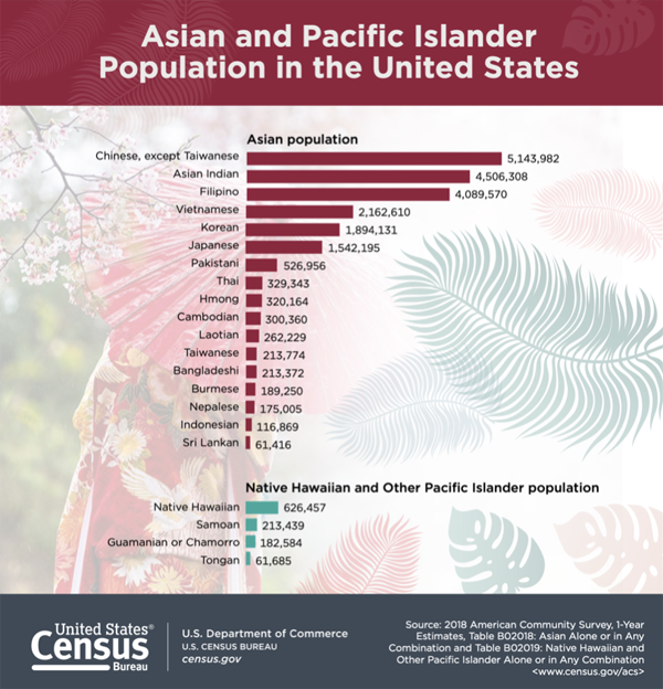 2018 US Census