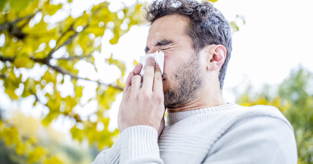 Practical Advice for Allergy Sufferers El Camino Health