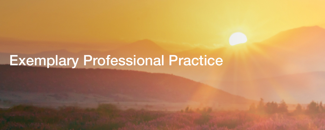 Exemplary Professional Practice