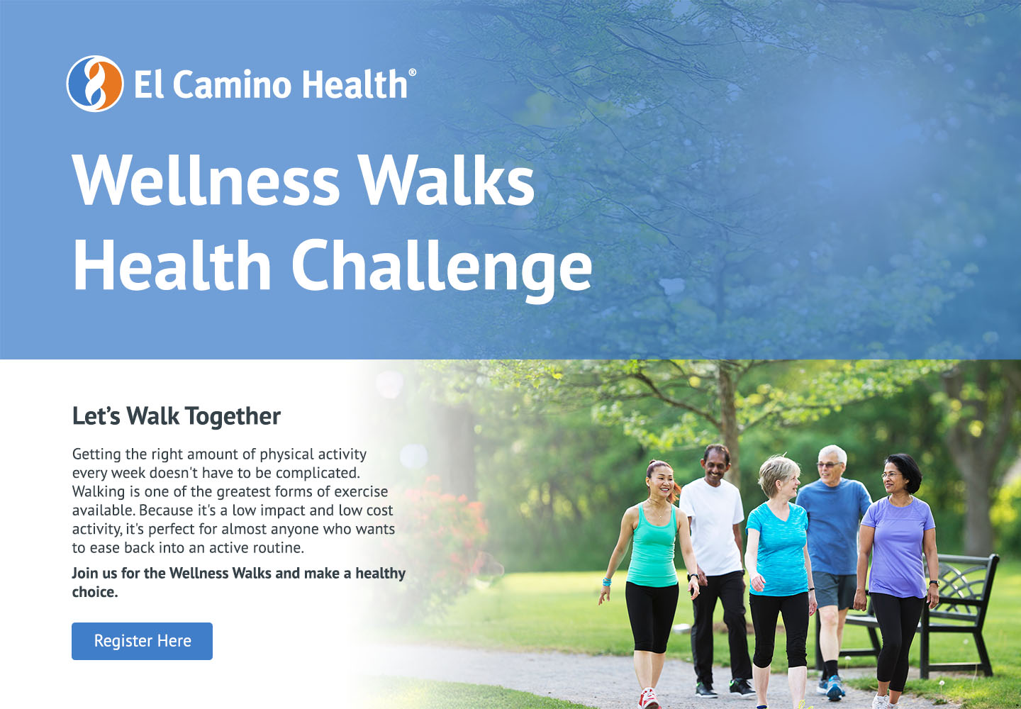 Wellness Walks