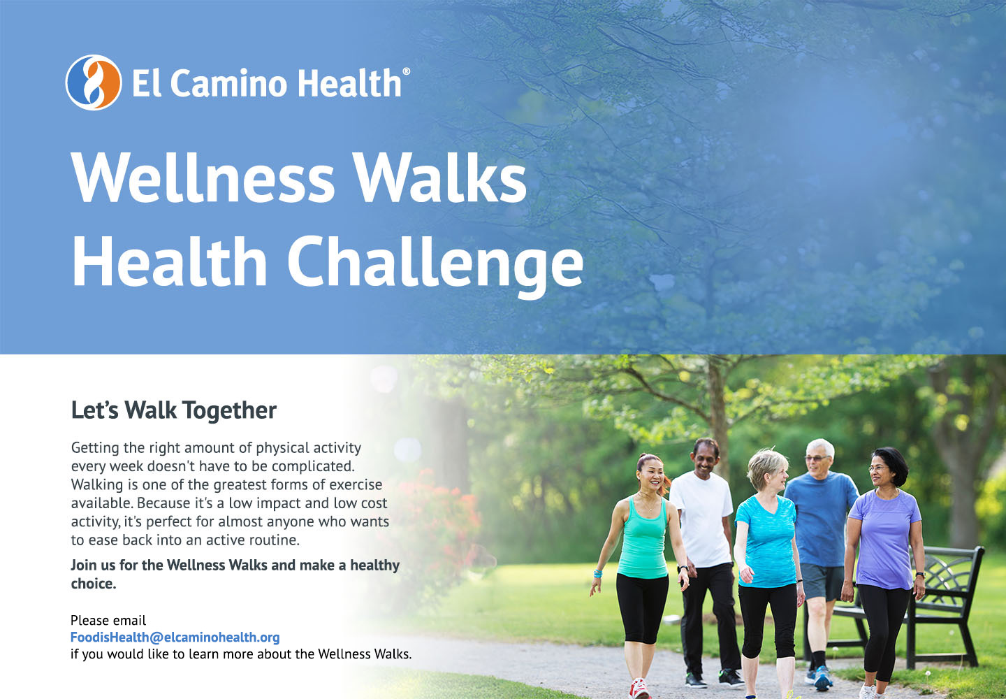 Wellness Walks