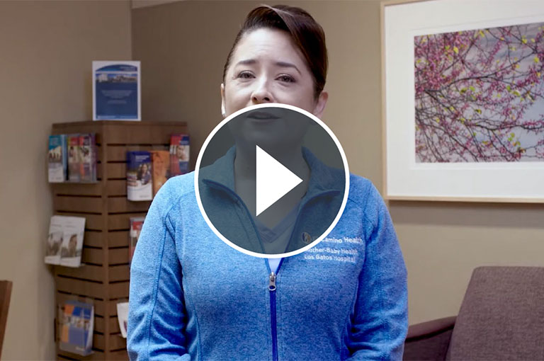 Los Gatos In-Person Tours video