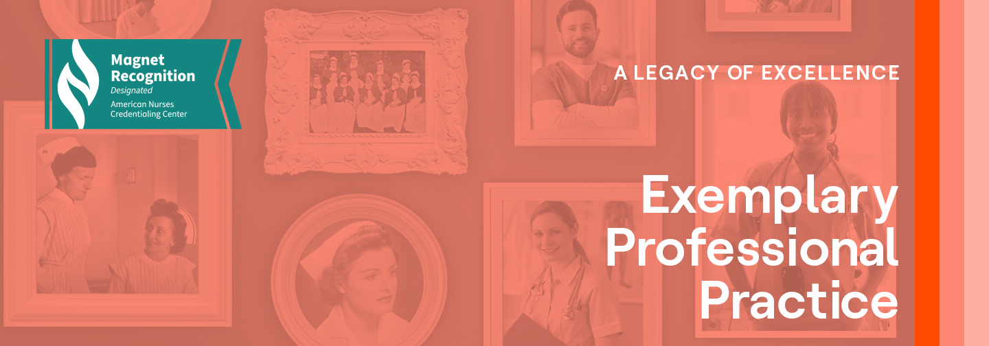Exemplary Professional Practice