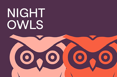NIGHT OWLS Night Shift Council