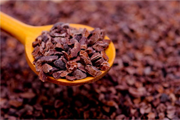 No Bake Cocoa Nibs Energy Bites