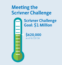 Scrivner Challenge - Goal Chart as of 6/15/16