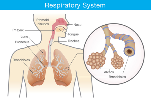 Lung Conditions