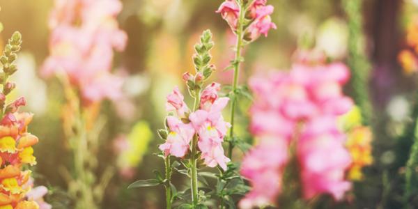 April Health Tips April Health Tips
