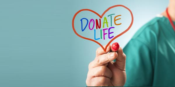 Organ Donation Organ Donation