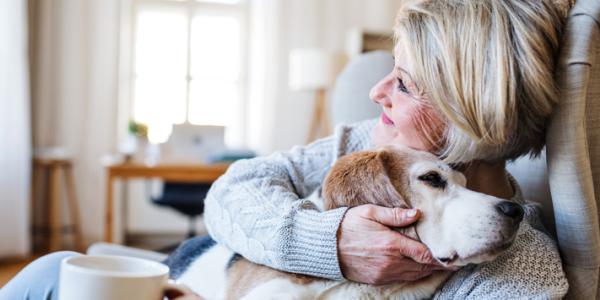 The Health Benefits of Pets