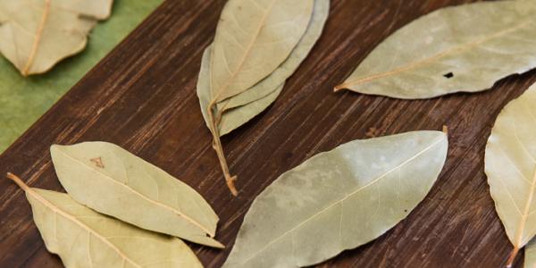 Methods for Preserving Your Herbs