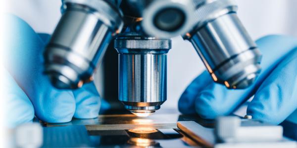 Reasons to Trust the COVID-19 Vaccine