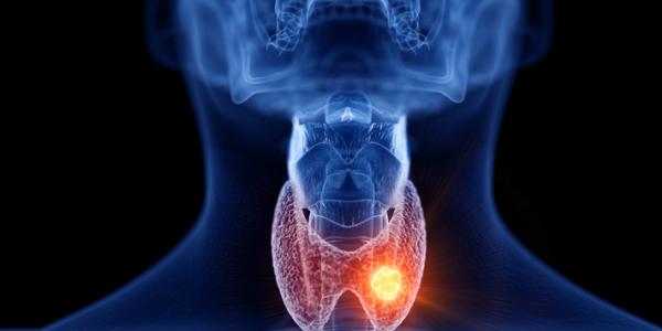 What You Should Know About Thyroid Health What You Should Know About Thyroid Health