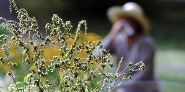 April Showers bring May Flowers and Pollen