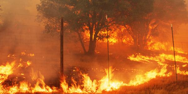 Wildfire Season: What to Know and How to Prepare Wildfire Season: What to Know and How to Prepare