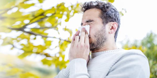 Practical Advice for Allergy Sufferers