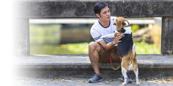 Beyond Companionship Beyond Companionship