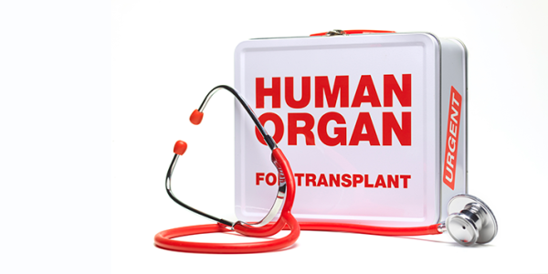 Organ Donation Organ Donation