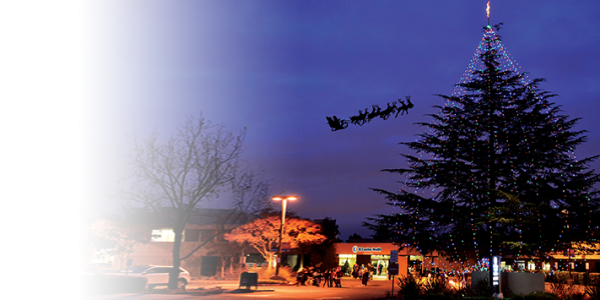Annual Tree Lighting Includes Los Gatos Neighbors Annual Tree Lighting Includes Los Gatos Neighbors