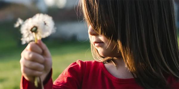 Partner Spotlight: Bill Wilson Center