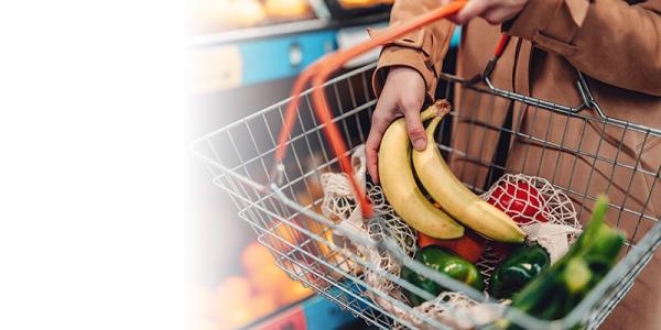 Partner Spotlight: School of Arts and Culture at MHP