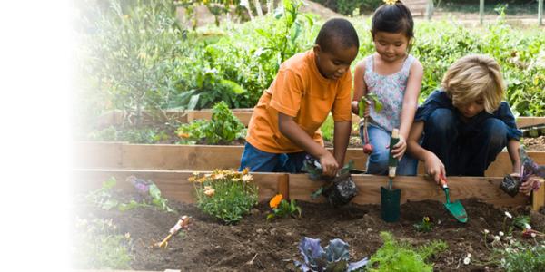 Partner Spotlight: Valley Verde — San Jose Gardens for Health