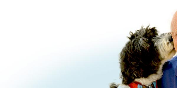 Stay Well With Your Pets Stay Well With Your Pets