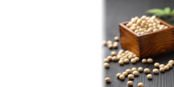 Soy and Cancer? Soy and Cancer?