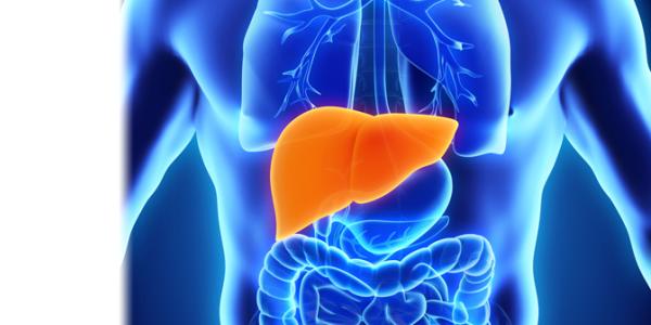 Hepatitis Hepatitis