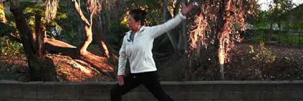 Dayan Qigong English Demo