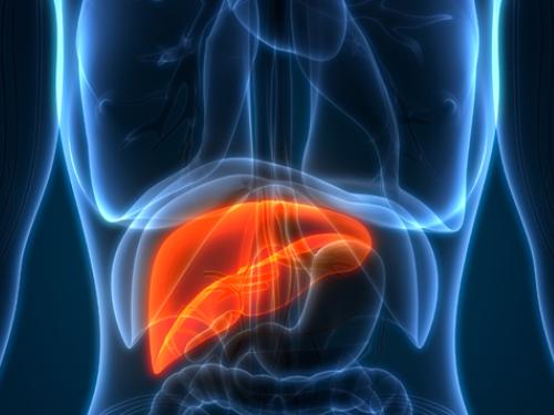 Hepatitis B and Liver Cancer