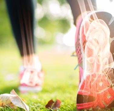 Healthy Bones as you Age