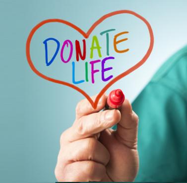 Organ Donation