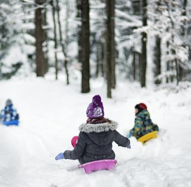 Winter Sports Injuries