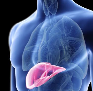 Fatty Liver Disease