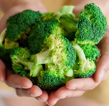 Plant-Based Diets