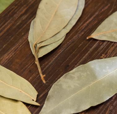 Methods for Preserving Your Herbs