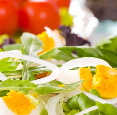 Fresh Salad