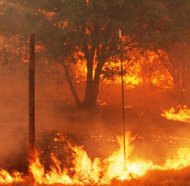 Wildfire Season: What to Know and How to Prepare