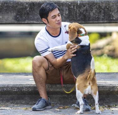 Beyond Companionship