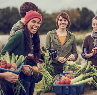 Partner Spotlight: Valley Verde