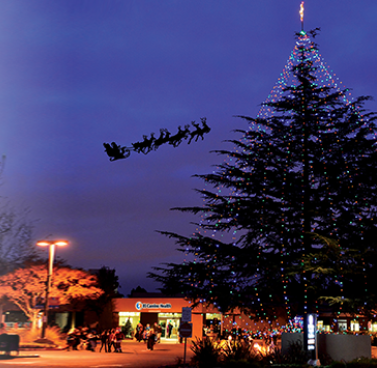 Annual Tree Lighting Includes Los Gatos Neighbors