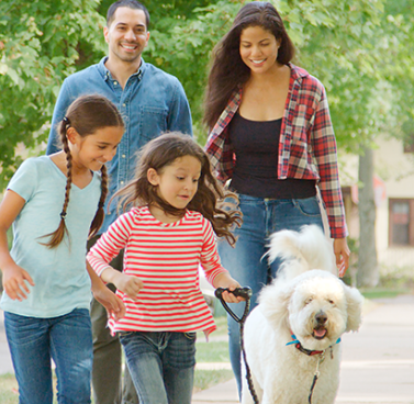 Ways Your Pet Helps Keep You Healthy