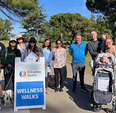 Participate in a Food is Health Recipe Challenge or Wellness Walk