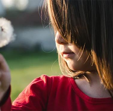 Partner Spotlight: Bill Wilson Center