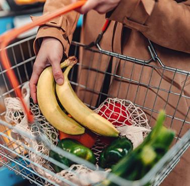 Partner Spotlight: School of Arts and Culture at MHP