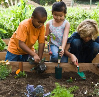 Partner Spotlight: Valley Verde — San Jose Gardens for Health