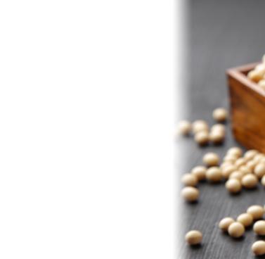 Soy and Cancer?