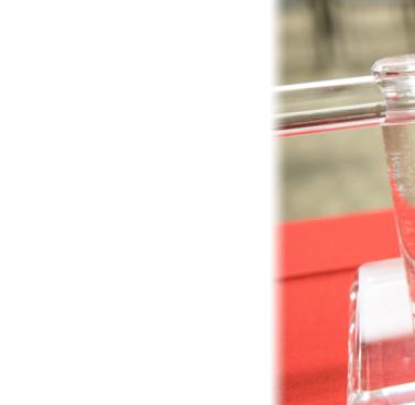 Heart Valve Repair and Replacement